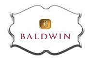 logo-image - brands-top-baldwin